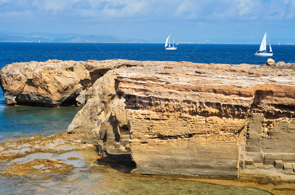 Punta de Sa Pedrera coast in Formentera, Balearic Islands, Spain Stock photo © nito