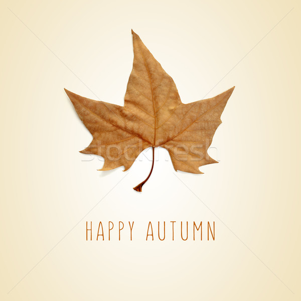 dry leaf and the text happy autumn Stock photo © nito