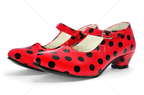 Charakteristisch rot Flamenco Schuhe Paar Spanien Stock foto © nito