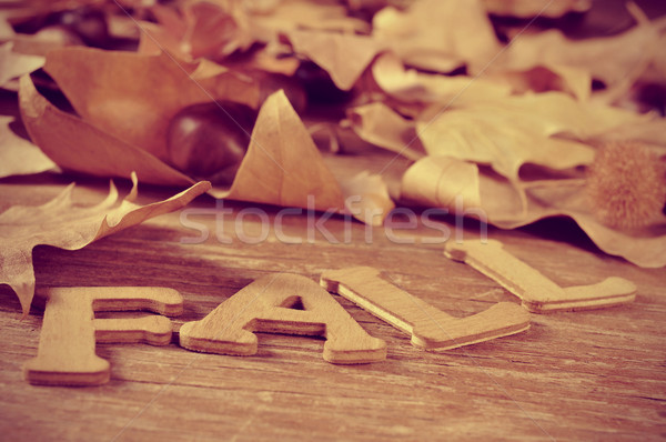 fall Stock photo © nito