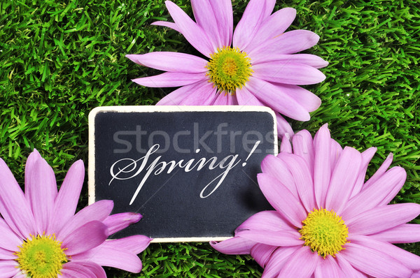 Printemps mot écrit tableau noir herbe rose Photo stock © nito