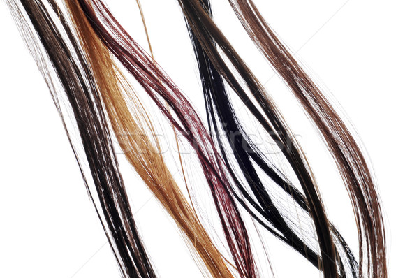 hair extensions Stock photo © nito