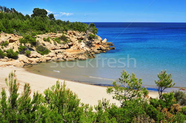Cala Forn beach in Ametlla de Mar, Spain Stock photo © nito