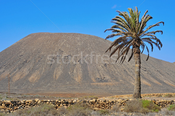 Tindaya Mountain in La Oliva, Fuerteventura, Canary Islands, Spa Stock photo © nito