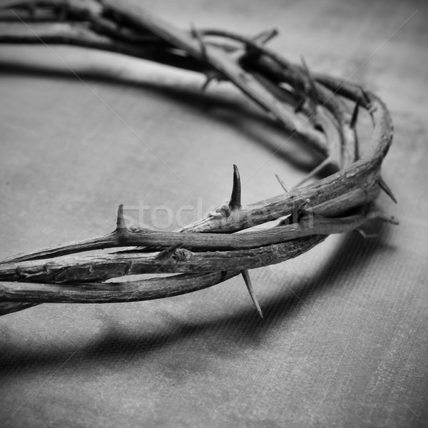 Jézus Krisztus korona közelkép feketefehér húsvét Stock fotó © nito