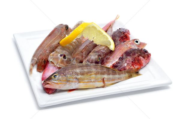 Nyers halfajok közelkép tányér fehér étel Stock fotó © nito