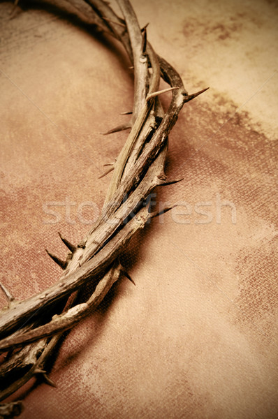 Jézus Krisztus korona közelkép húsvét szövet Stock fotó © nito