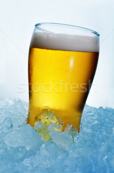 refreshing beer Stock photo © nito