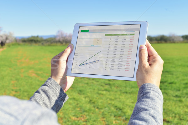 man observing some charts in a tablet in a fallow field Stock photo © nito