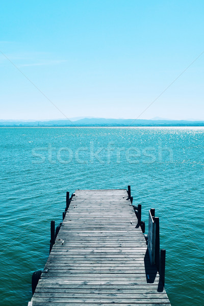 dock in the lagoon of the Albufera in Valencia, Spain Stock photo © nito