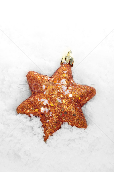 christmas star on the snow Stock photo © nito