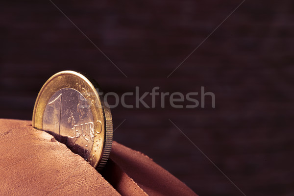 one euro coin in a piggy bank Stock photo © nito