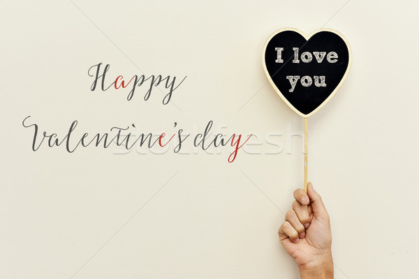text happy valentines day and I love you Stock photo © nito