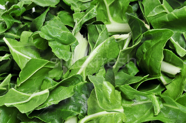 chopped raw chard leaves Stock photo © nito