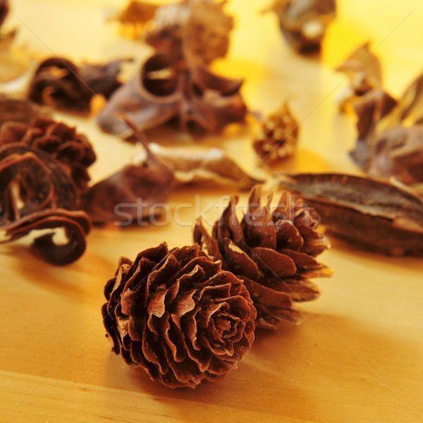 pine cones and dried flowers and leaves Stock photo © nito