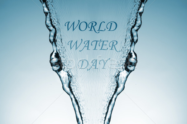 world water day Stock photo © nito