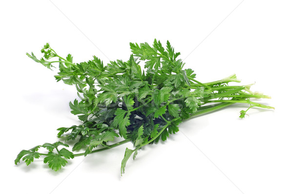 Pietruszka biały żywności ogród zdrowia Zdjęcia stock © nito