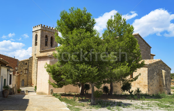 Sant Salvador church in Vimbodi, Spain Stock photo © nito
