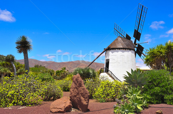 Moară de vânt insulele canare Spania vechi constructii energie Imagine de stoc © nito