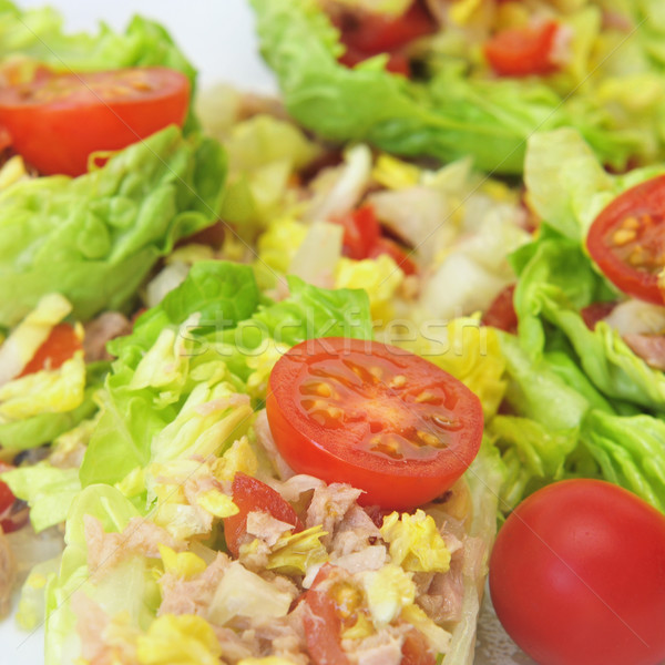 green salad Stock photo © nito