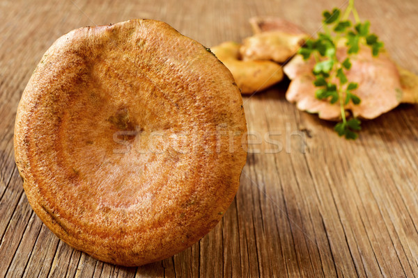 rovellons, typical autumn mushrooms of Spain Stock photo © nito