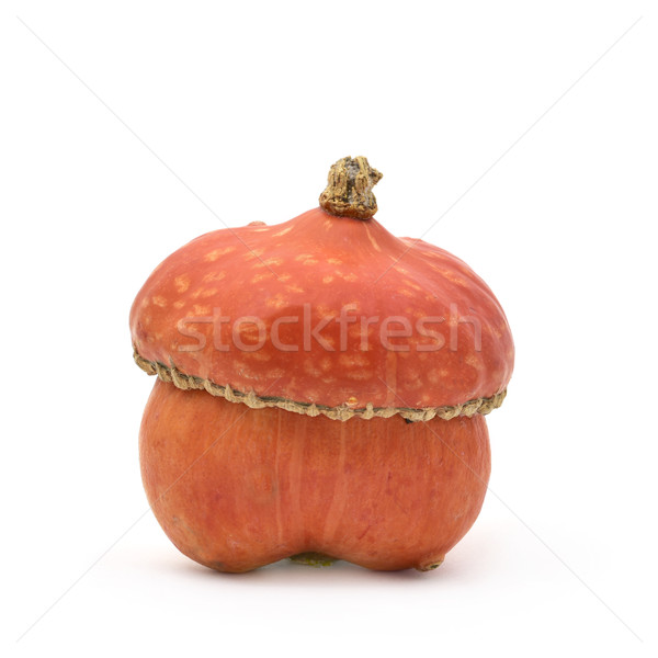 odd pumpkin Stock photo © nito