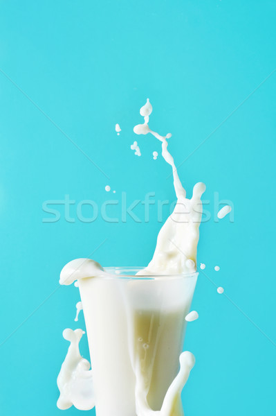 glass of milk Stock photo © nito
