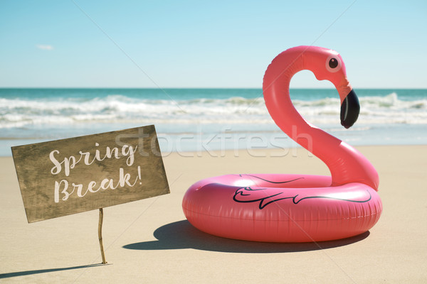 text spring break in a signboard on the beach Stock photo © nito