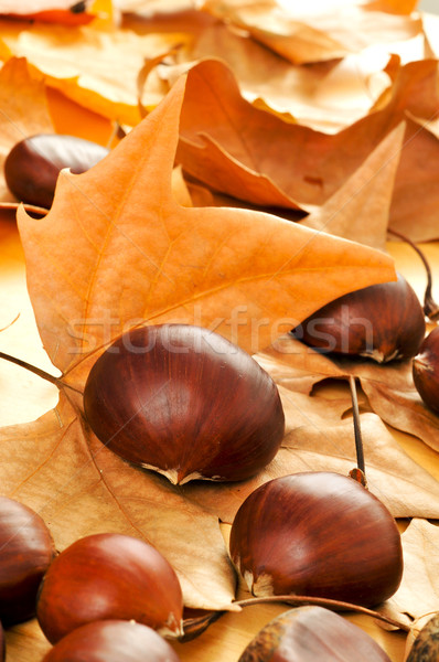 Stock photo: chestnuts