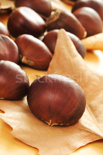 chestnuts Stock photo © nito