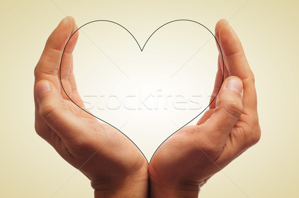 heart Stock photo © nito