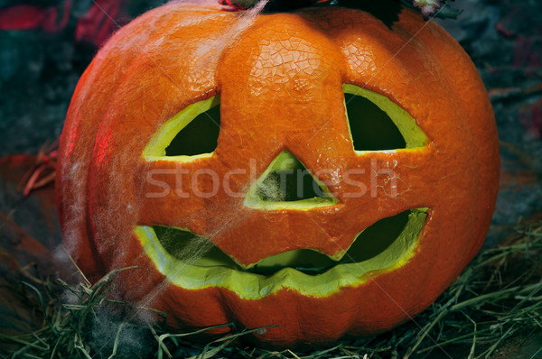 Halloween jack-o-lantern Stock photo © nito