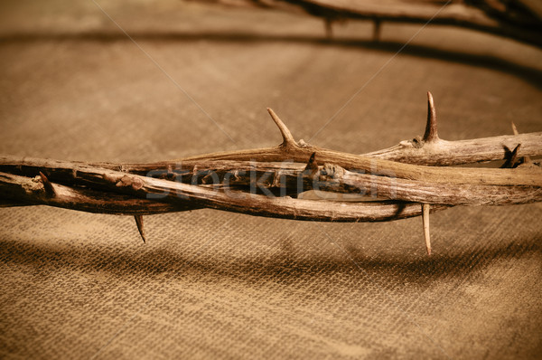 Jezusa Chrystusa korony Wielkanoc tekstury Zdjęcia stock © nito