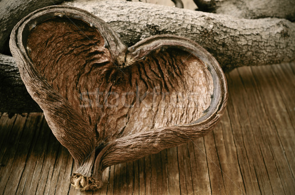 Stock photo: heart-shaped nut shell and logs