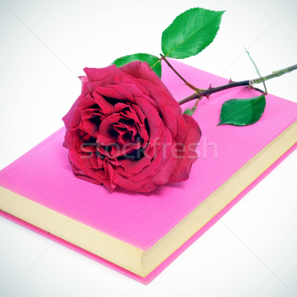 red rose and a pink book Stock photo © nito