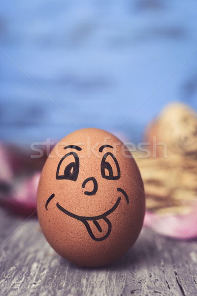 brown egg with a funny face Stock photo © nito