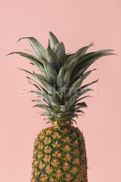 Foto d'archivio: Ananas · pallido · rosa · primo · piano · maturo · alimentare