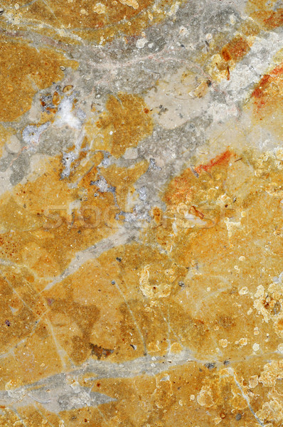 veined marble background Stock photo © nito