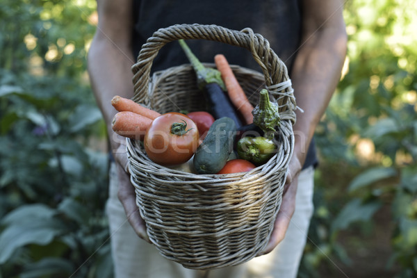 young man with a basket full of vegetables Stock photo © nito