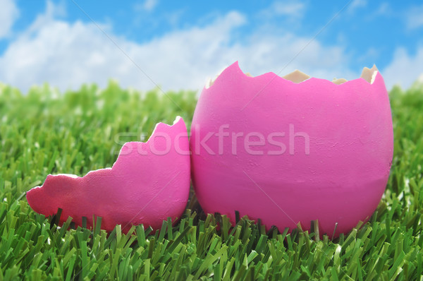 Stockfoto: Roze · easter · egg · gras · blauwe · hemel · wolken · voedsel