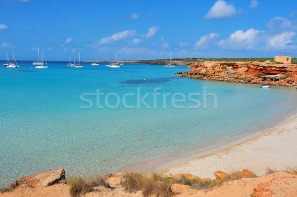 Cala Saona Beach in Formentera, Balearic Islands, Spain Stock photo © nito