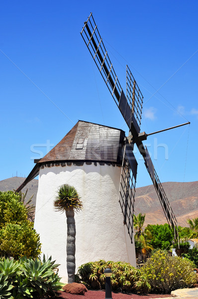 風車 加那利群島 西班牙 老 建設 山 商業照片 © nito
