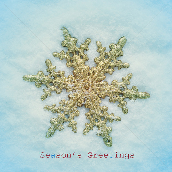 seasons greetings Stock photo © nito