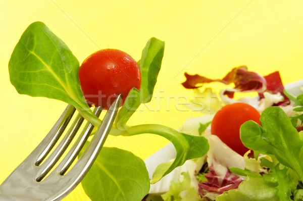 salad Stock photo © nito