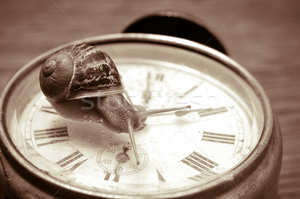 land snail and clock, in sepia tone Stock photo © nito