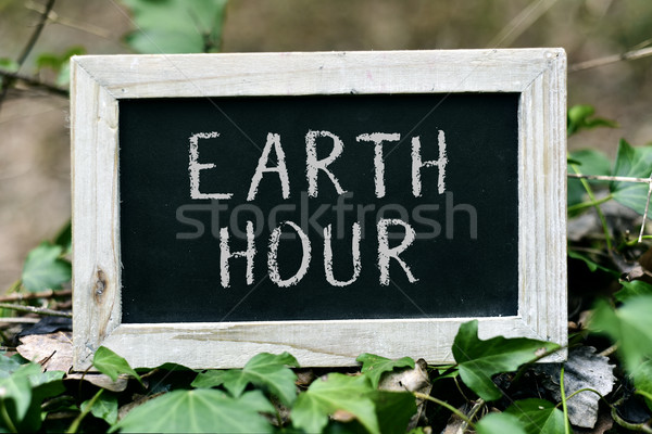 chalkboard with the text earth hour Stock photo © nito
