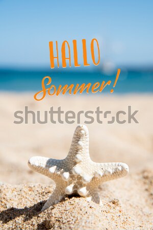 man and starfish on the beach Stock photo © nito