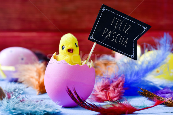 chick emerging from an egg and text feliz pascua, happy easter i Stock photo © nito