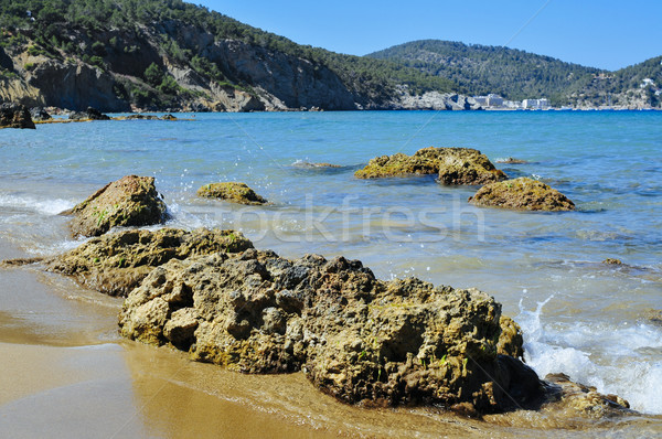 Aigues Blanques beach in Ibiza Island, Spain Stock photo © nito