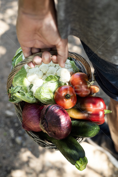 young man with a basket full of vegetables
 Stock photo © nito